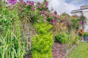 Garden- click for photo gallery